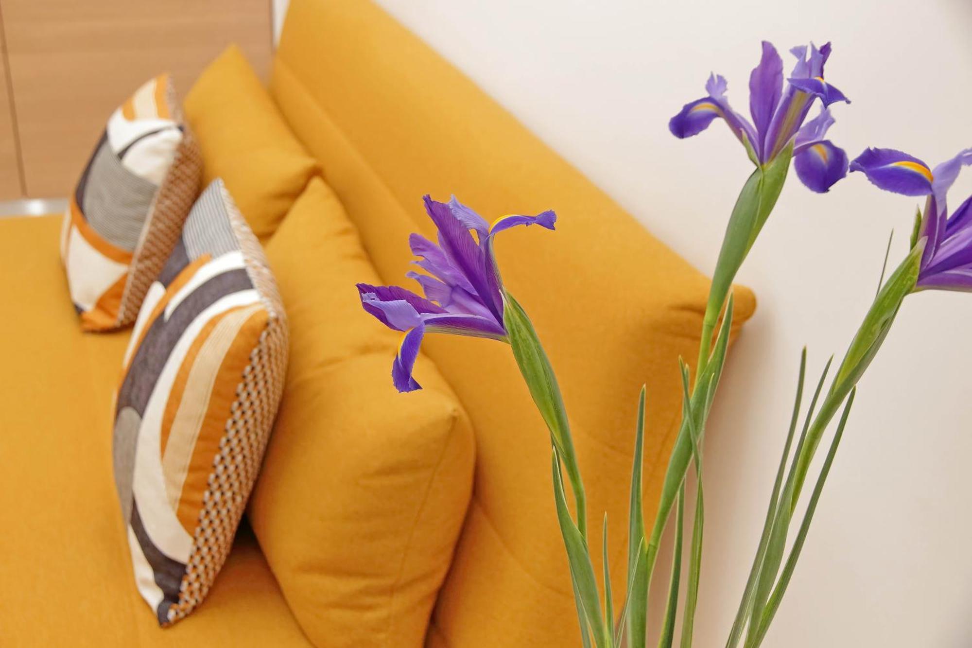 Roma & Amor Apartment Екстериор снимка